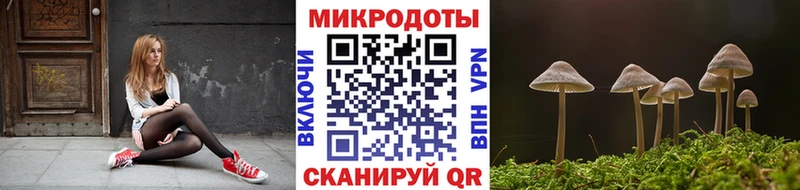 Купить  Арск  Галлюциногенные грибы прущие грибы 